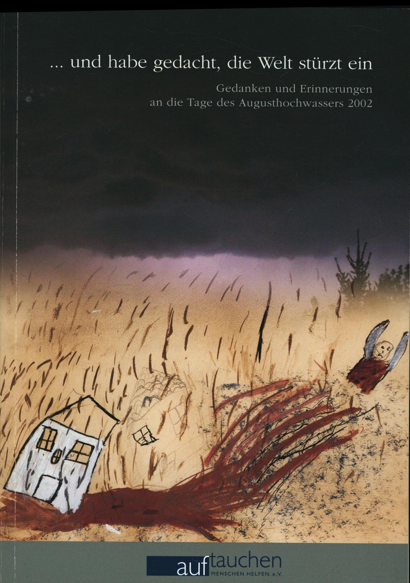... und habe gedacht, die Welt stürzt ein. Gedanken und Erinnerungen an die Tage des Augusthochwassers 2002 Books