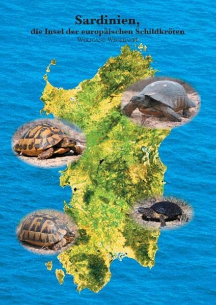 Sardinien, die Insel der europäischen Schildkröten Natural Sciences