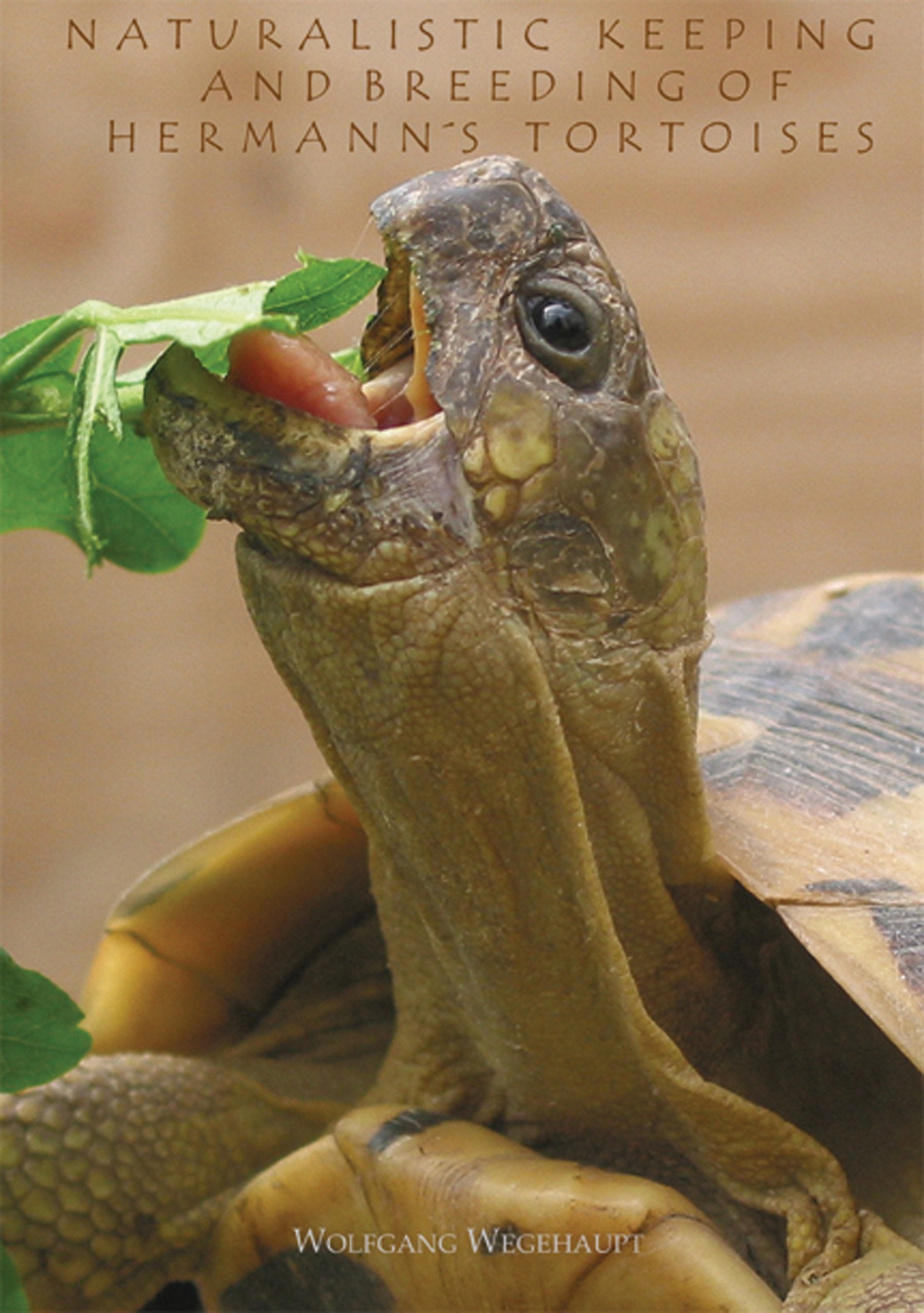 Naturalistic keeping and breeding of Hermann´s Tortoises Hobbies & Crafts