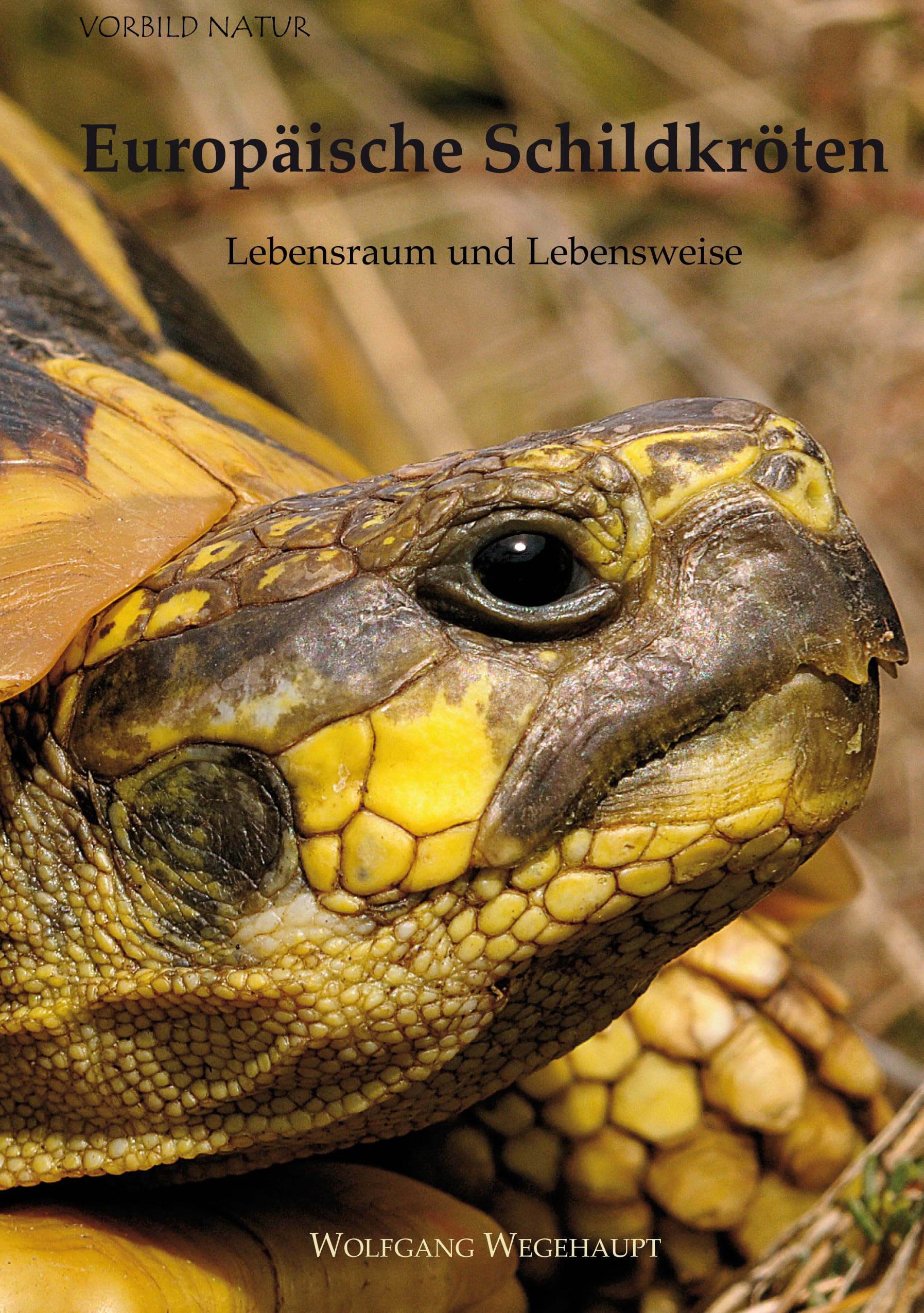 Europäische Schildkröten: Lebensraum und Lebensweise Leisure, Home & Garden
