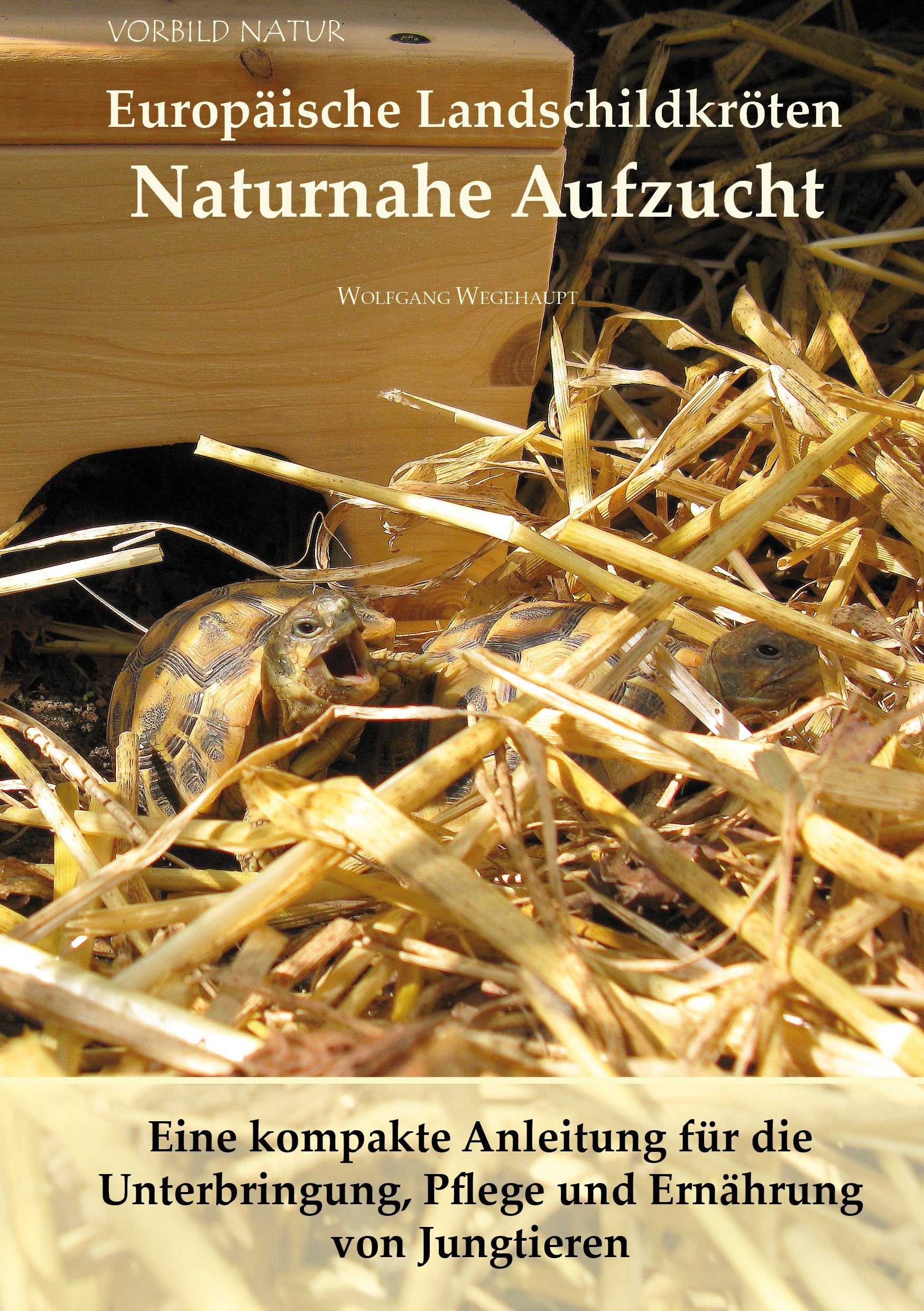 Europäische Landschildkröten Naturnahe Aufzucht: Eine kompakte Anleitung für die Unterbringung, Pflege und Ernährung von Jungtieren (Vorbild Natur: Europäische Schildkröten Naturnahe Aufzucht) Hobbies & Crafts