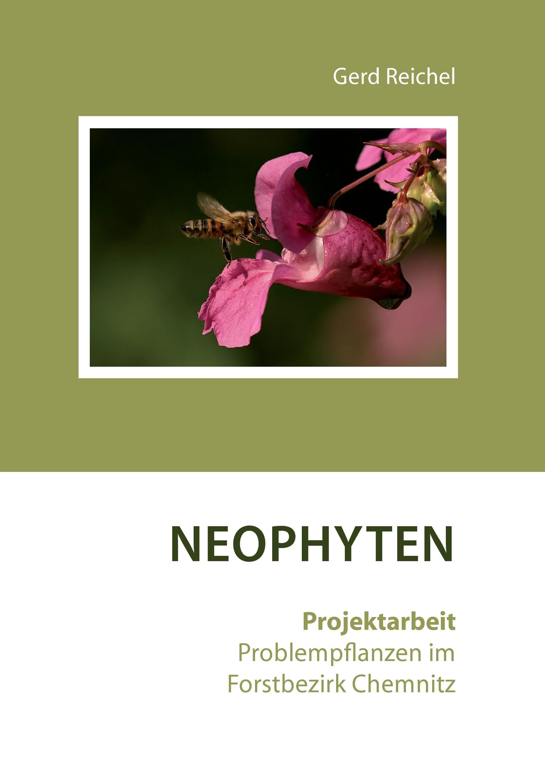 Neophyten: Projektarbeit Problempflanzen im Forstbezirk Chemnitz Leisure, Home & Garden