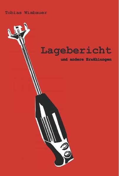 Lagebericht: Und andere Erzählungen Contemporary literature