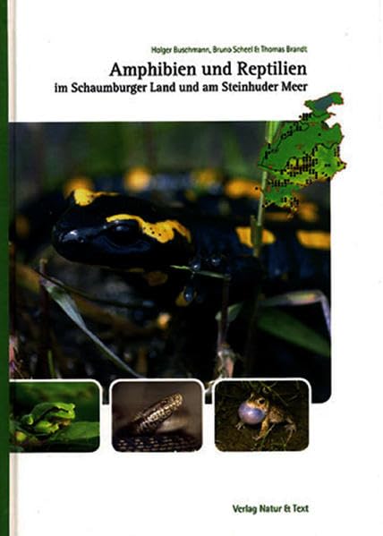 Amphibien und Reptilien im Schaumburger Land und am Steinhuder Meer Mathematics