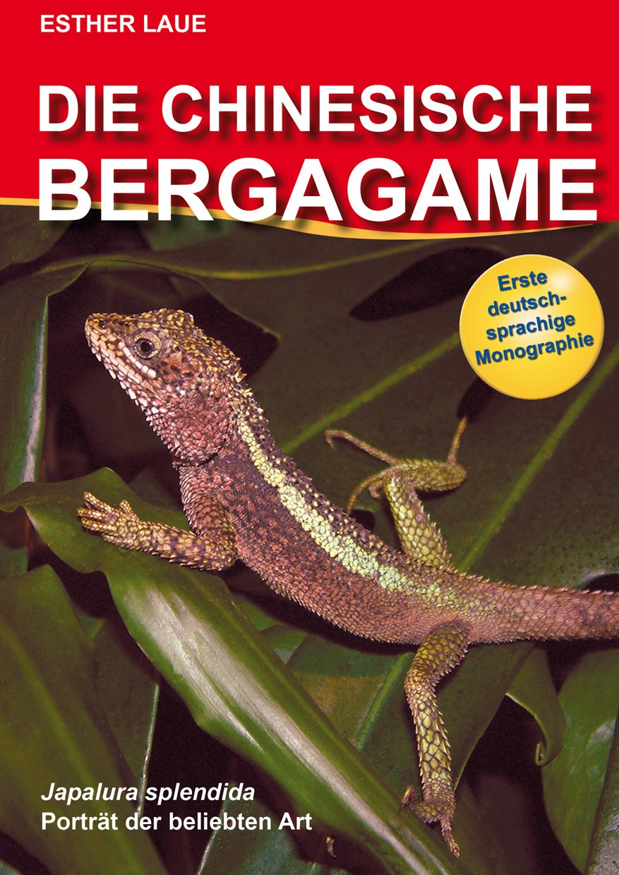 Die Chinesische Bergagame /Japalura Spendida Pets