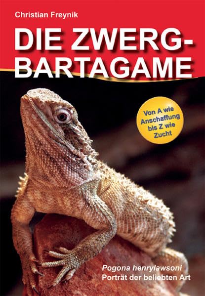 Die Zwergbartagame / Pogona henrylawsoni Pets