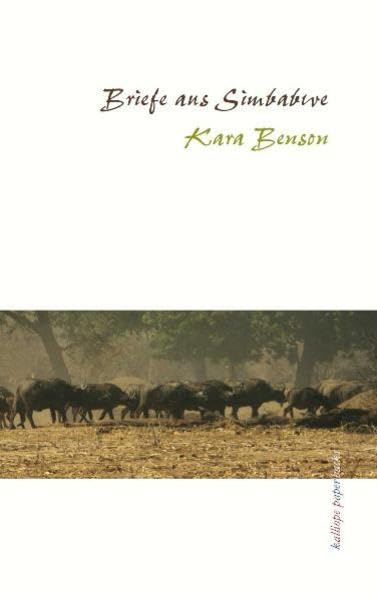 Briefe aus Simbabwe: Roman in Briefen Essays & Short Stories