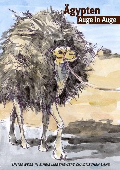 Ägypten, Auge in Auge: Unterwegs in einem liebenswert chaotischen Land - Kurth, Dieter book