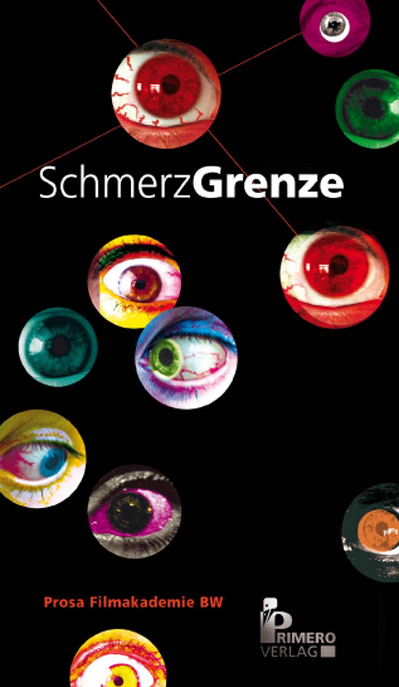 SchmerzGrenze Contemporary literature
