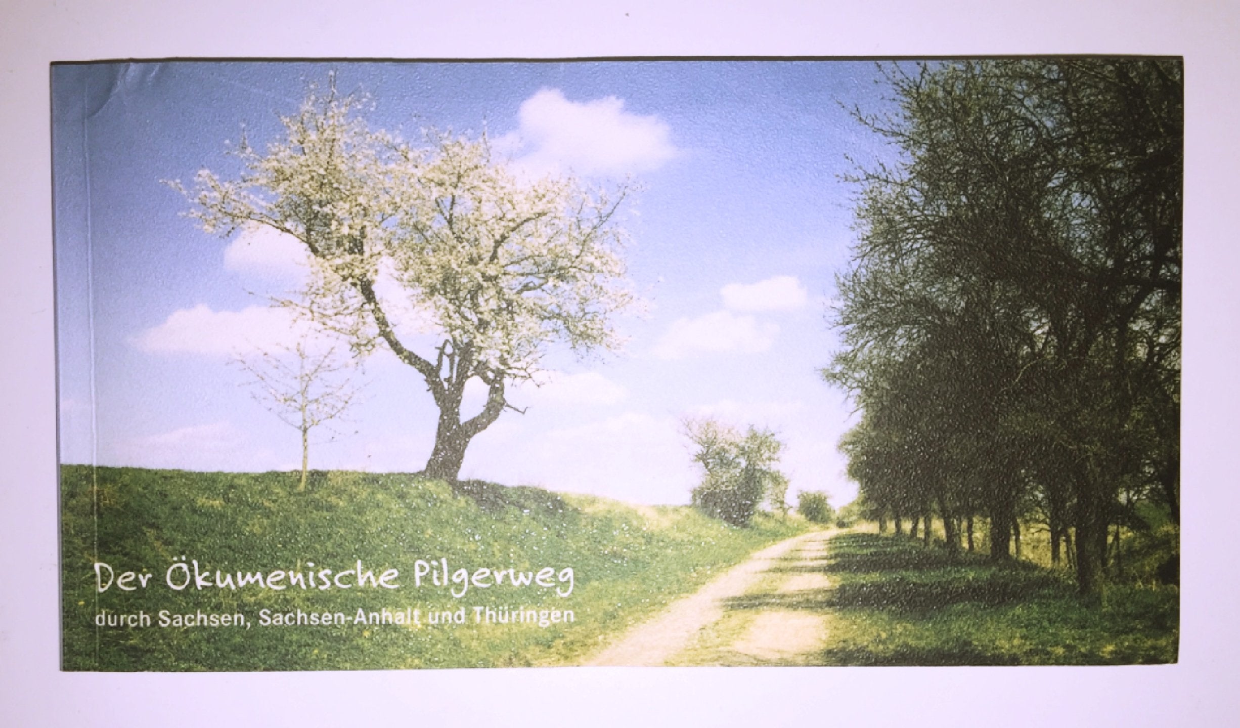 Der ökumenische Pilgerweg durch Sachsen, Sachsen-Anhalt und Thüringen Books