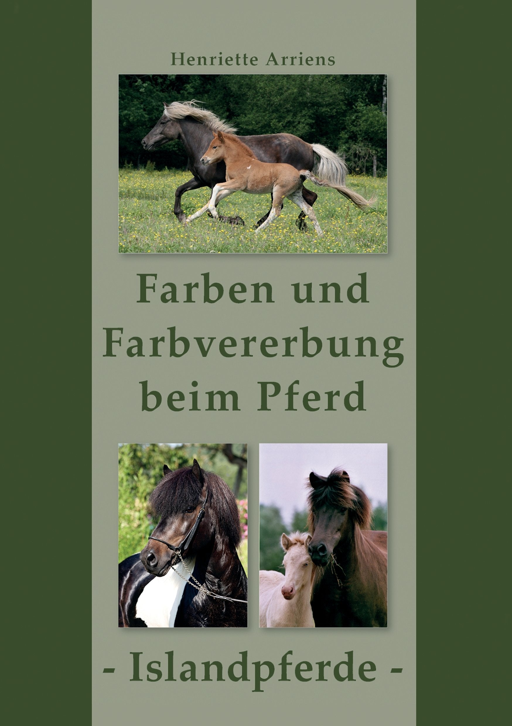 Farben und Farbvererbung beim Pferd - Islandpferde Pets