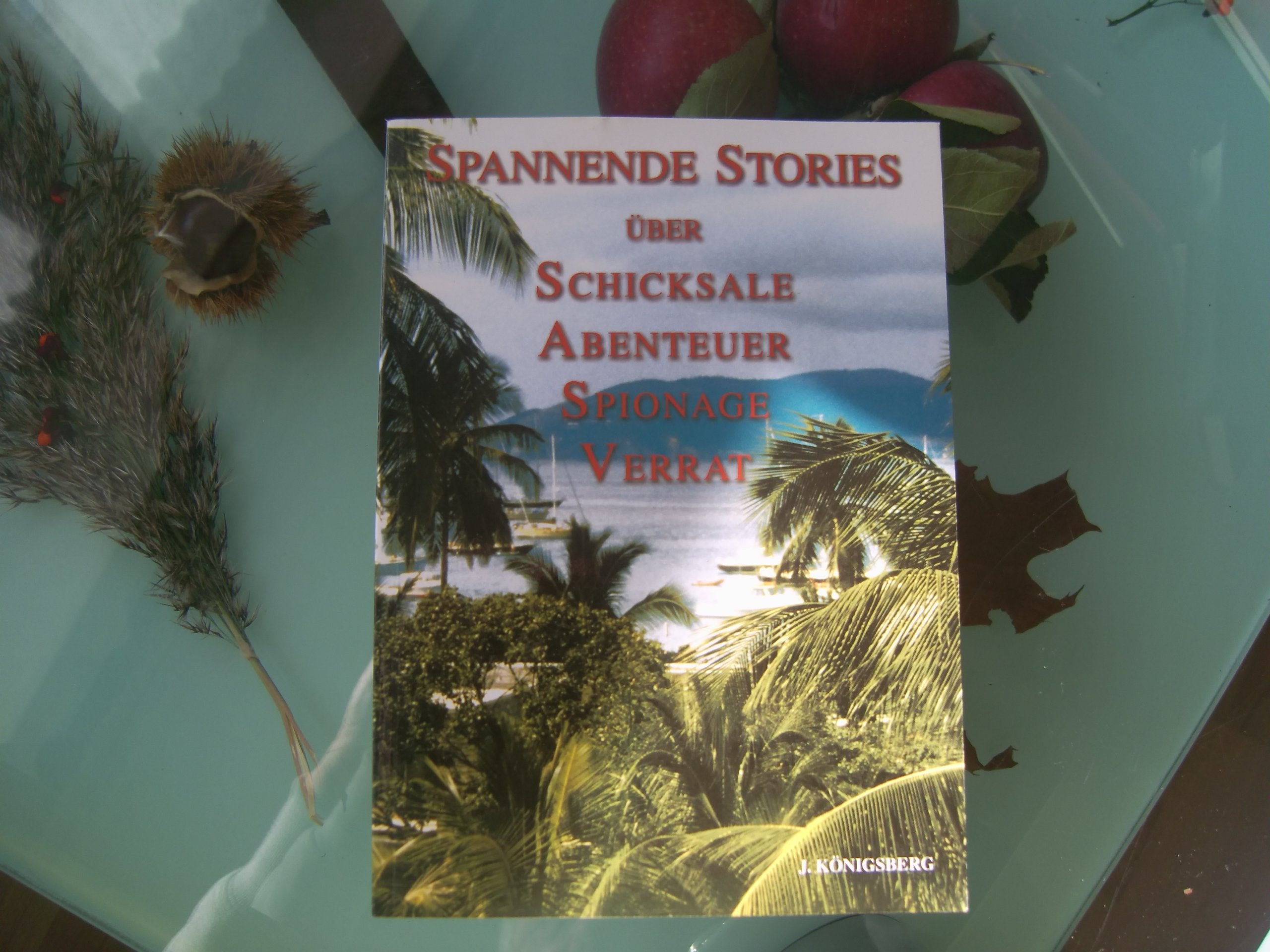 Spannende Stories über Schicksale, Abenteuer, Spionage, Verrat book