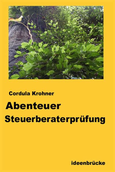 Abenteuer Steuerberaterprüfung (Livre en allemand) book