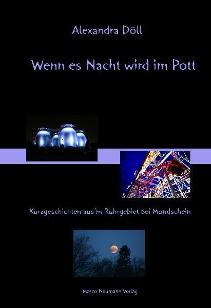 Wenn es Nacht wird im Pott: Kurzgeschichten aus dem Ruhrgebiet bei Mondschein Action & Adventure
