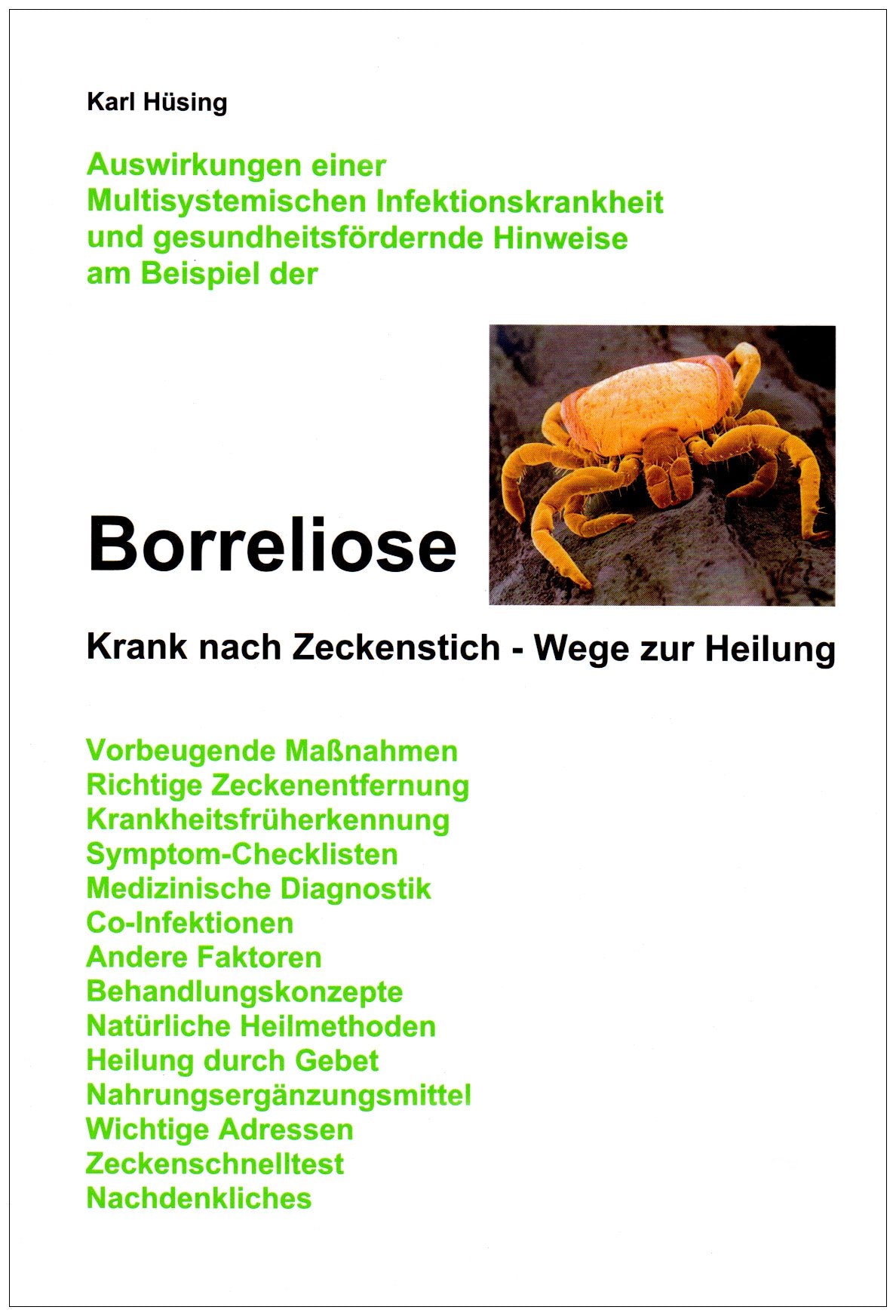 Borreliose: Krank nach Zeckenstich - Wege zur Heilung Medicine Books