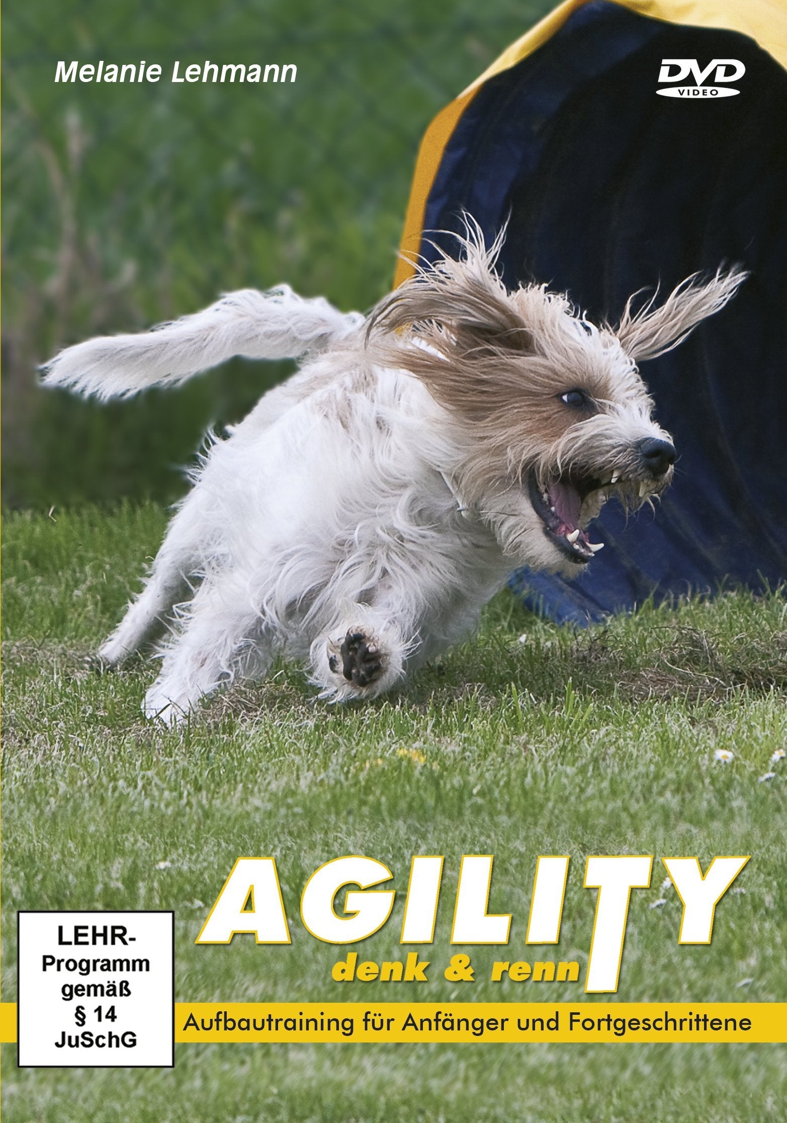 Agility: denk & renn - Aufbautraining für Anfänger und Fortgeschrittene Movies