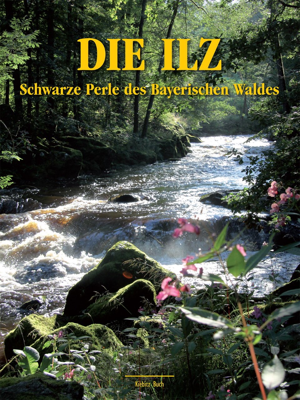 Product Image: Die Ilz