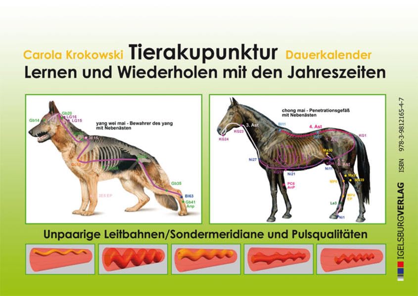 Tierakupunktur Lernkalender mit Dauerkalendarium (Pulsqualitäten, unpaarige Leitbahnen): Lernen und Wiederholen mit den Jahreszeiten: Der farbige ... mit Spirale, 13 Blätter, ca. 42 x 30 cm Medicine