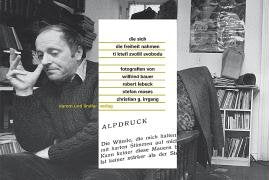 Die sich die Freiheit nahmen: Dichterportraits von Wilfried Bauer, Robert Lebeck, Stefan Moses und Christian G. Irrgang Contemporary literature Books