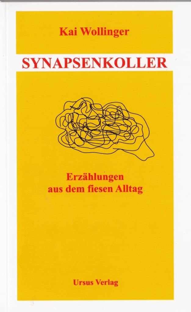 Synapsenkoller: Geschichten aus dem fiesen Alltag Contemporary literature