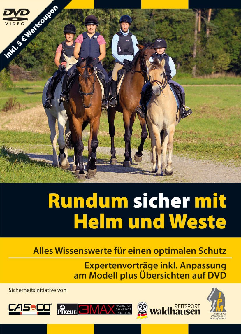 Rundum sicher mit Helm und Weste: Alles Wissenswerte für einen optimalen Schutz Pets