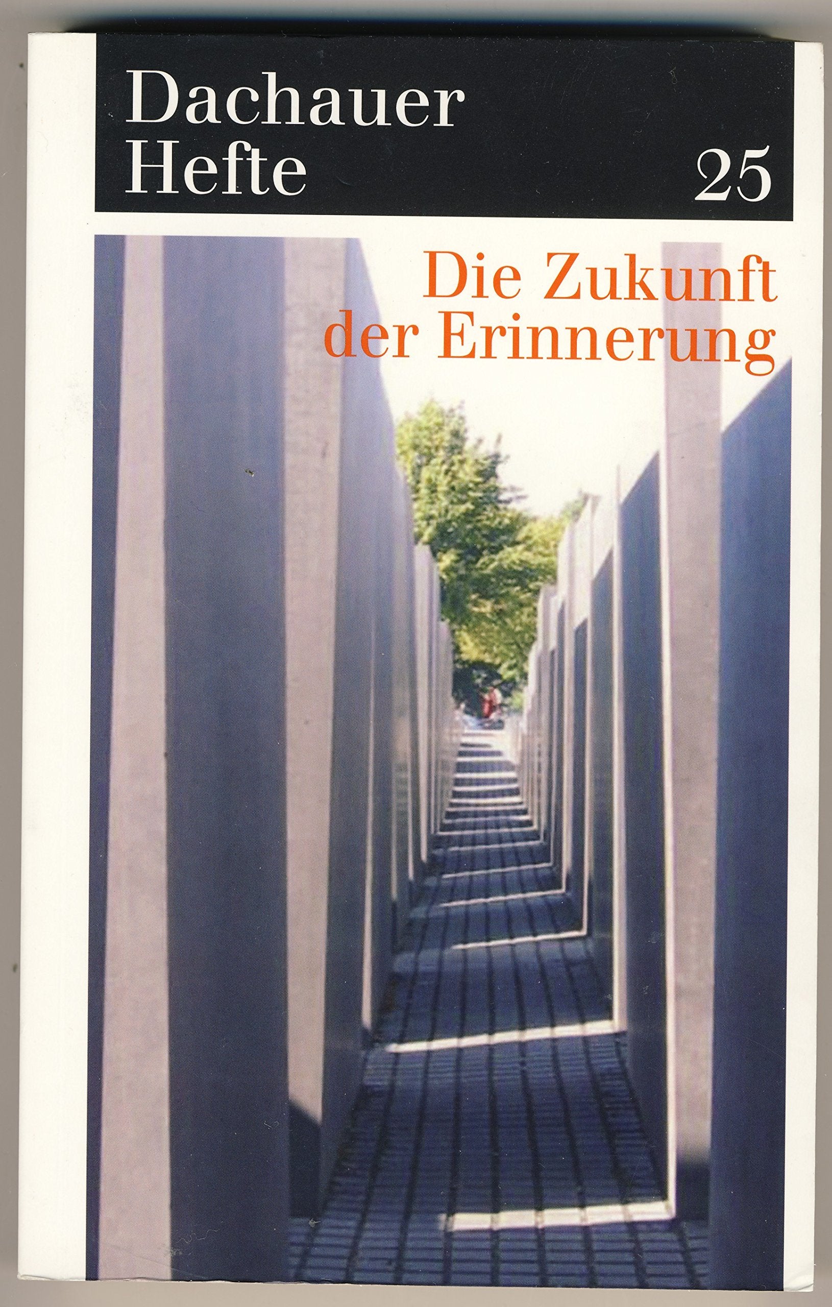 Dachauer Hefte / Zukunft der Erinnerung Books