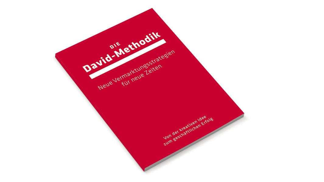 Die David-Methodik: Neue Vermarktungsstrategien für neue Zeiten - Schmelzer, Raimund book