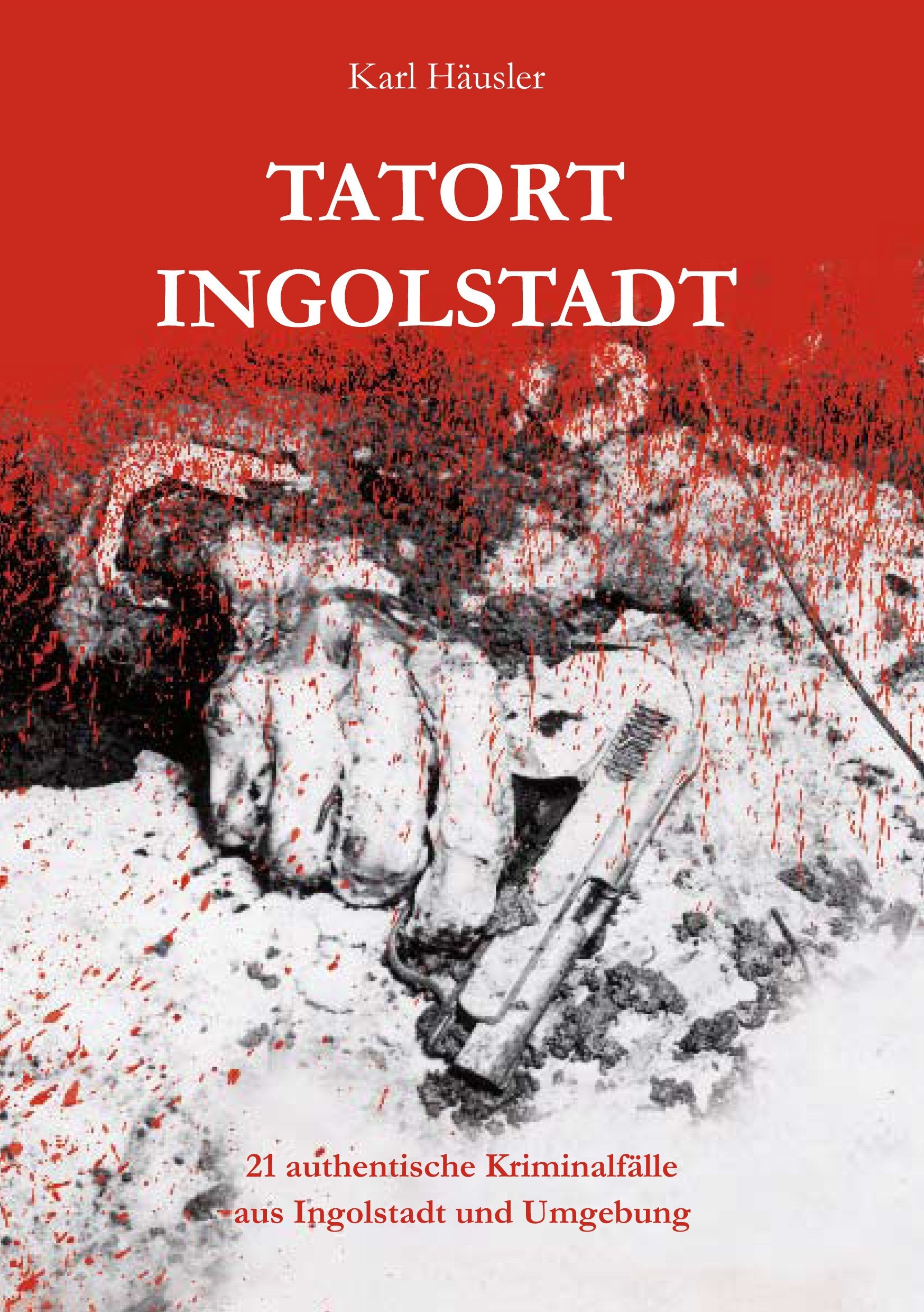 Tatort Ingolstadt: 21 authentische Kriminalfälle aus Ingolstadt und Umgebung Contemporary literature Books