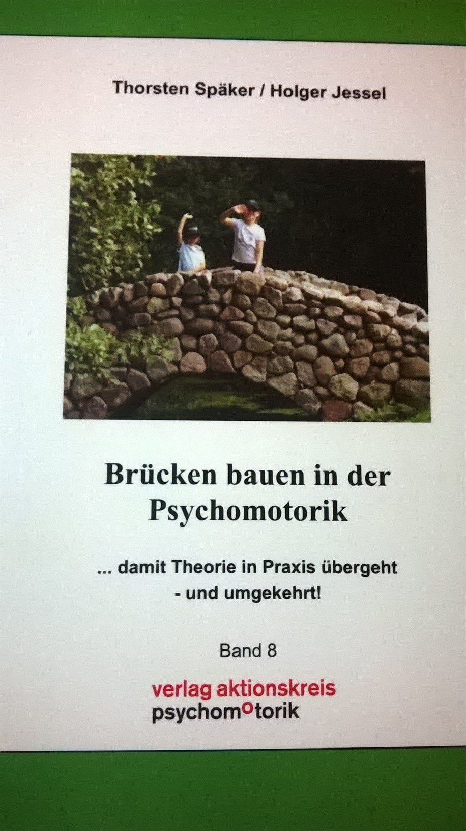 Brücken bauen in der Psychomotorik ...damit Theorie in Praxis übergeht - und umgekehrt Books