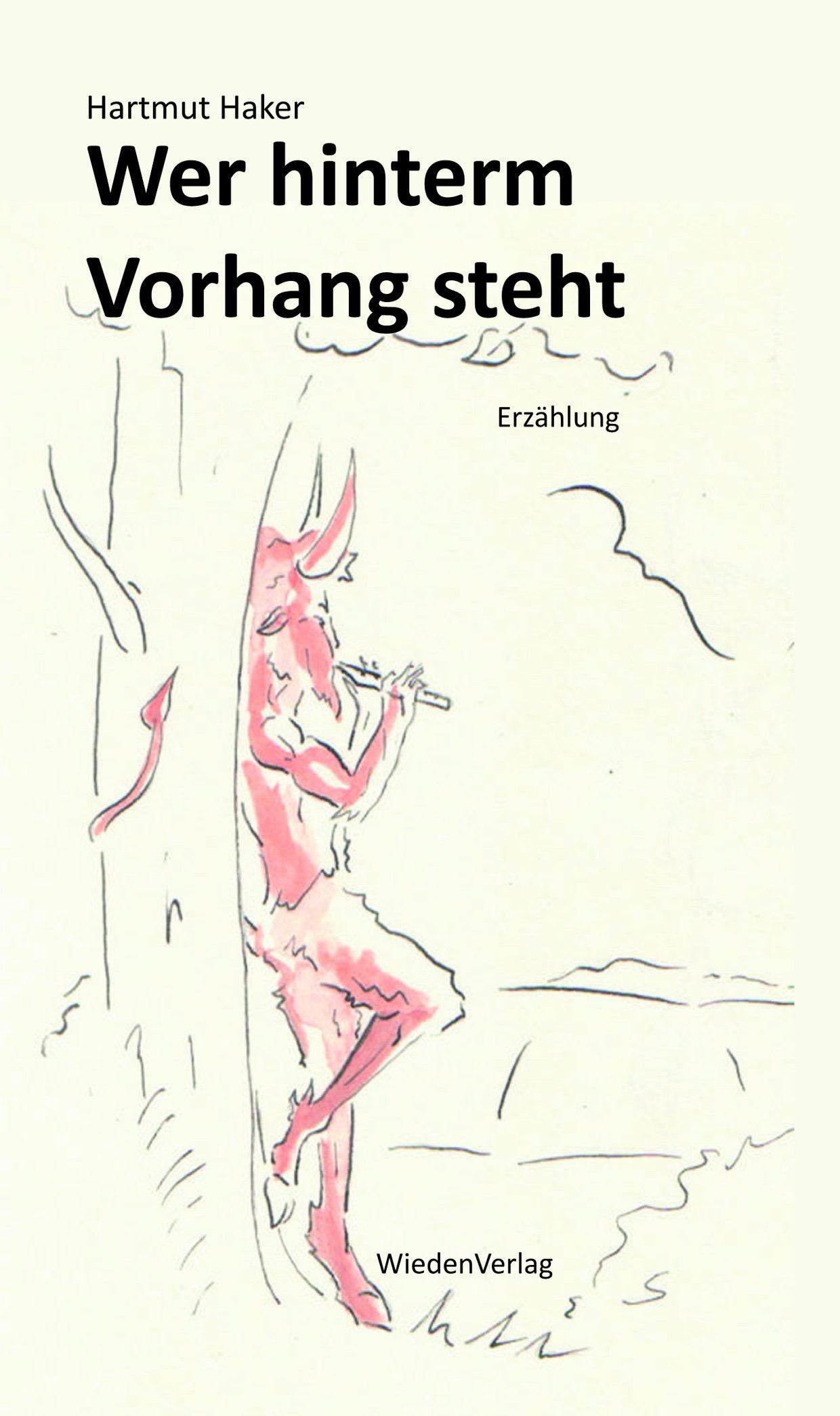 Wer hinterm Vorhang steht: Erzählung Contemporary literature Books