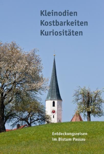 Entdeckungsreisen im Bistum Passau: Kleinodien, Kostbarkeiten, Kuriositäten book