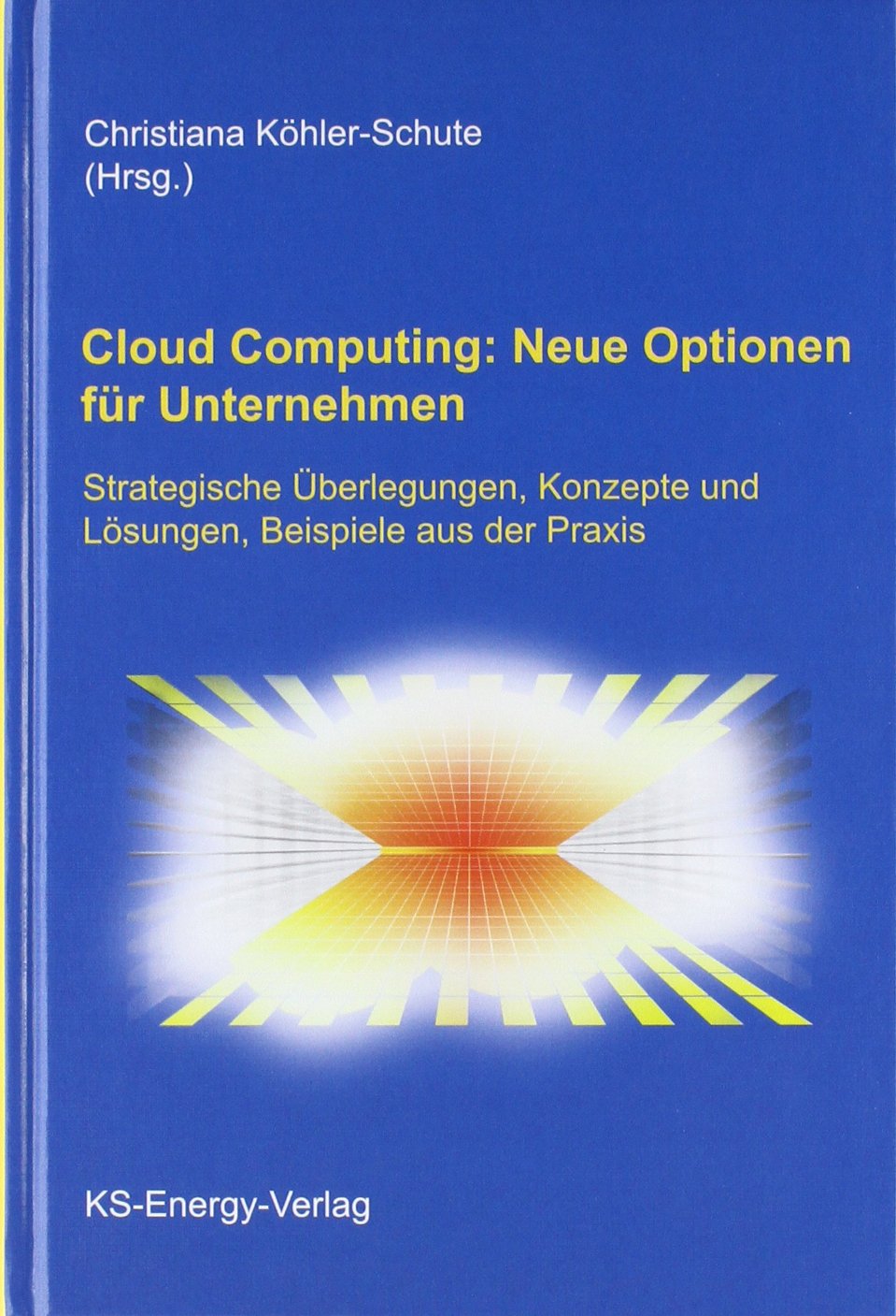 Cloud Computing: Neue Optionen für Unternehmen: Strategische Überlegungen, Konzepte und Lösungen, Beispiele aus der Praxis Computer Science