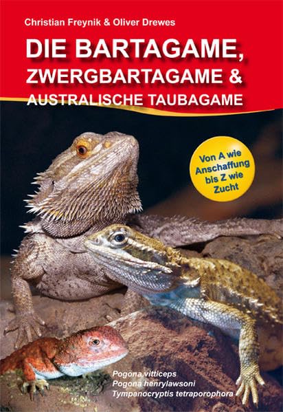 Die Bartagame, Zwergbartagame & Australische Taubagame Pets
