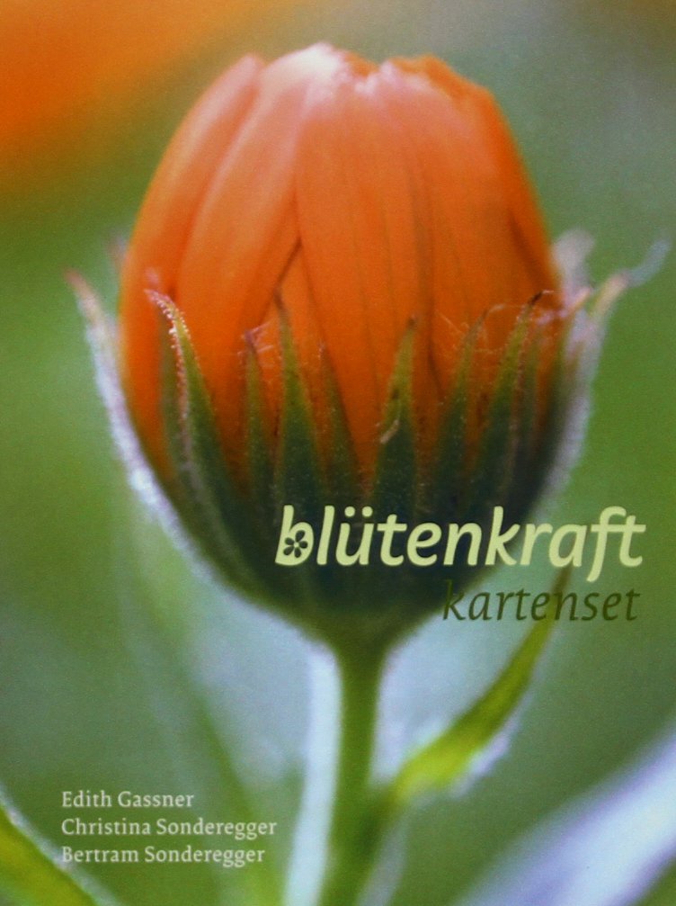 Blütenkraft: Kartenset mit 50 Karten und Begleitbuch Leisure, Home & Garden