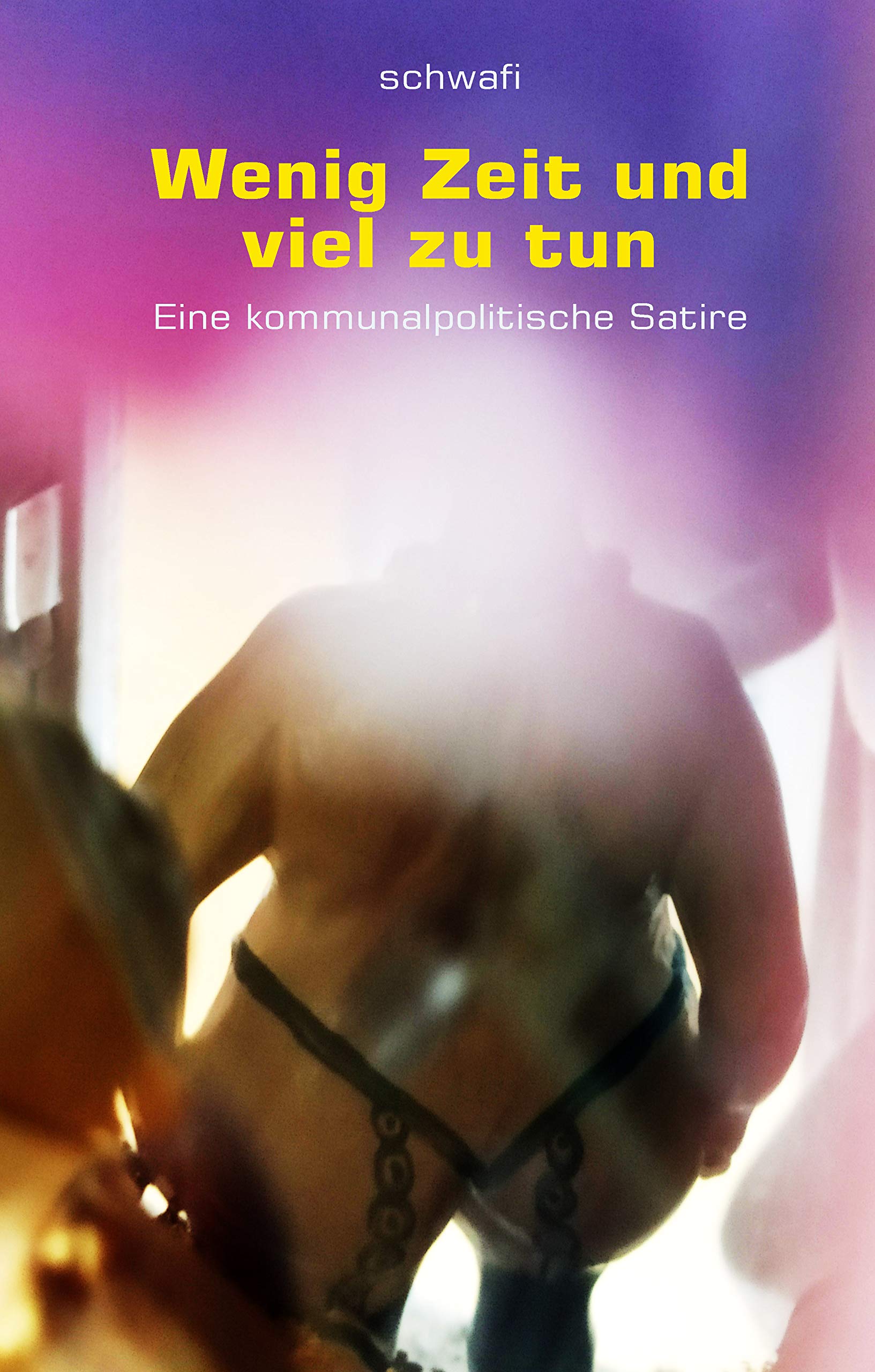 Wenig Zeit und viel zu tun: Ein kommunalpolitischer Wildwestroman Contemporary literature