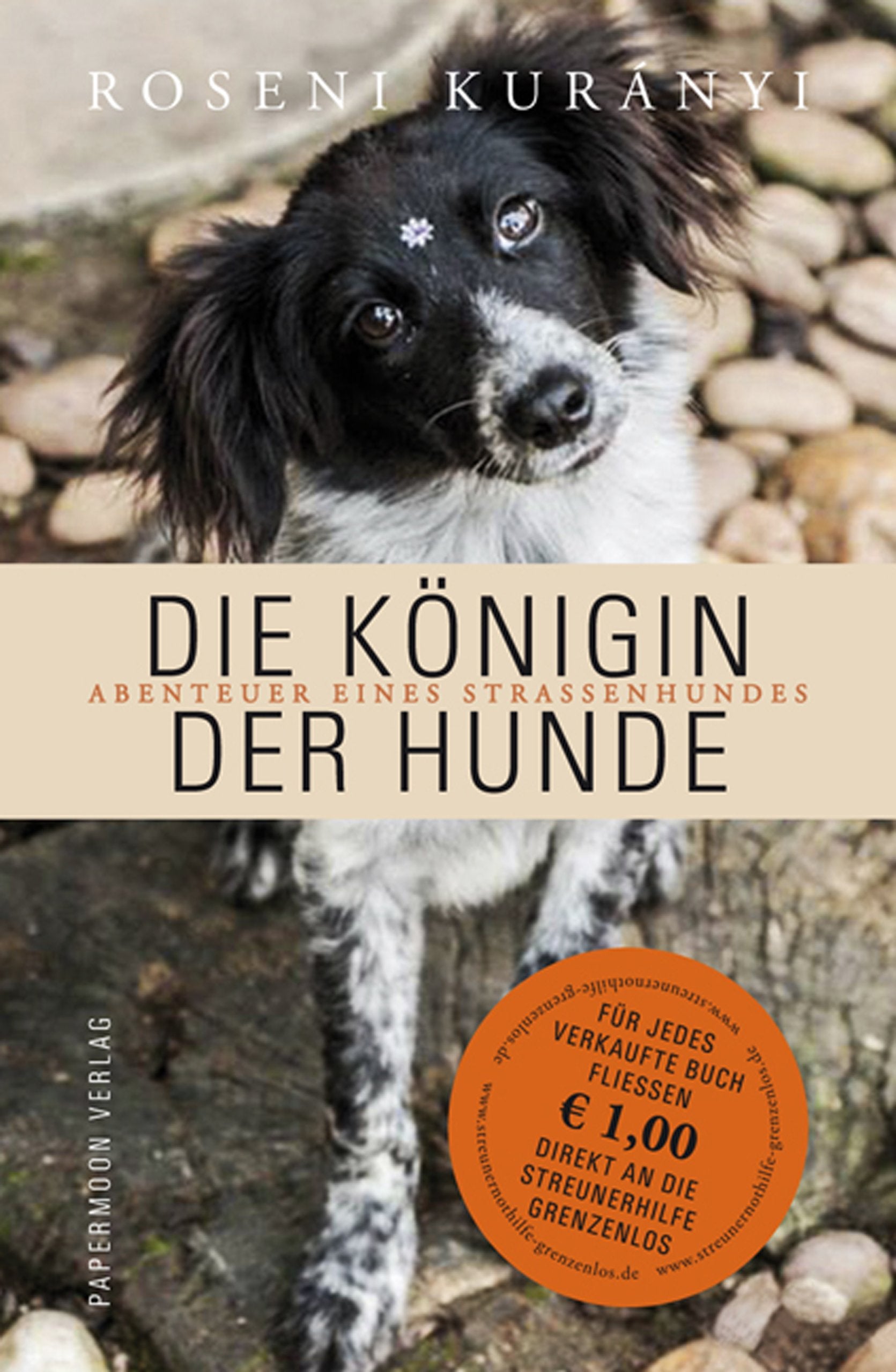 Die Königin der Hunde: Abenteuer eines Straßenhundes Politics & History