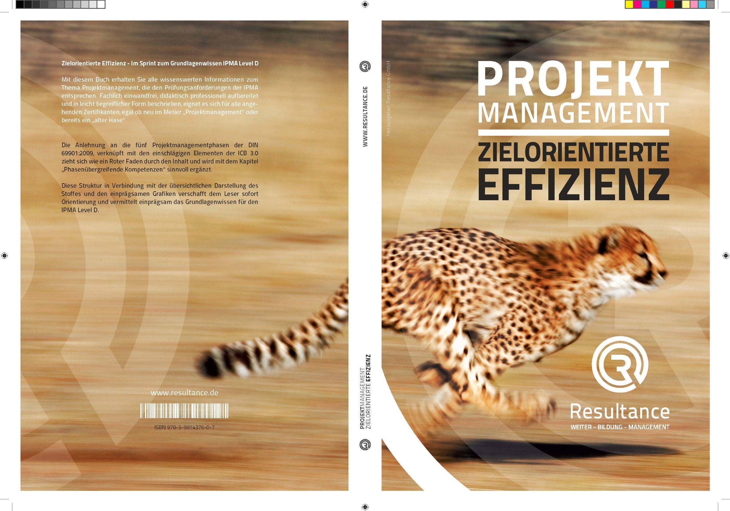 Projektmanagement - Zielorientierte Effizienz Law