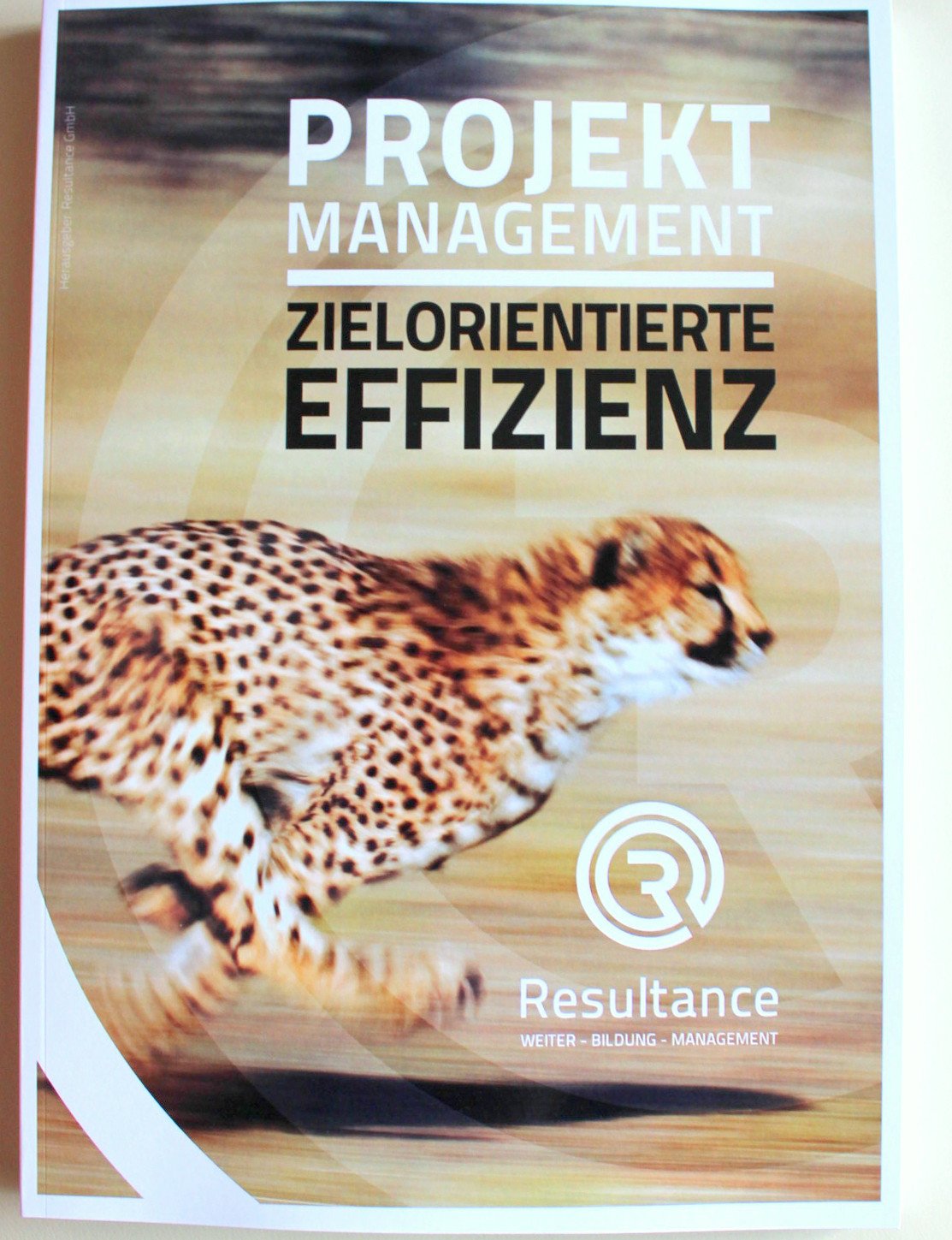 Projektmanagement - Zielorientierte Effizienz: Im Sprint zum Level D Version 3.0 Study Guides
