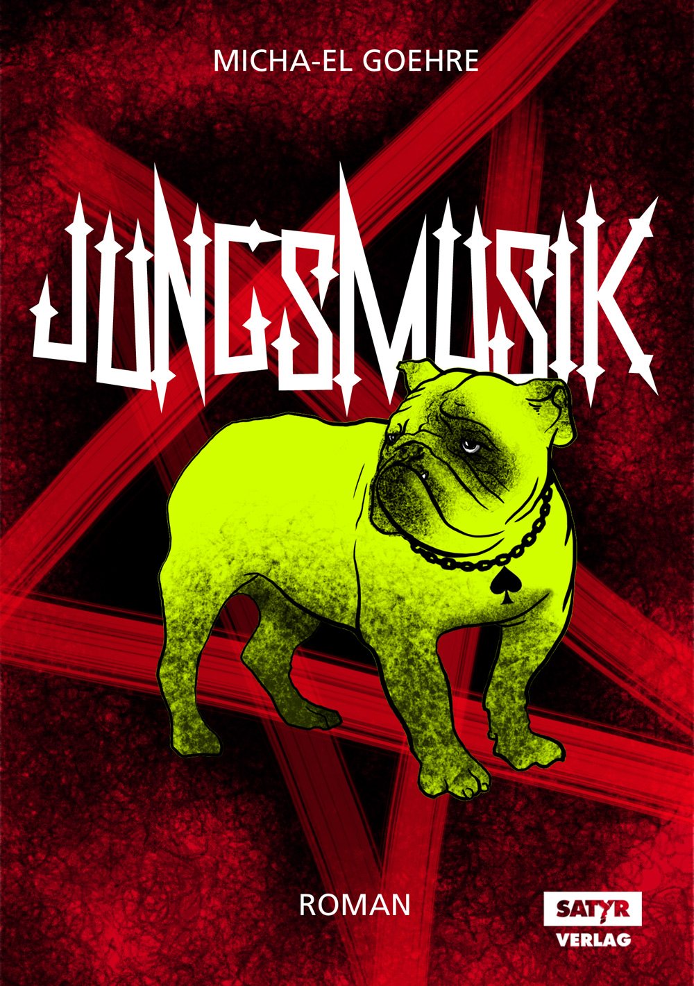 Jungsmusik: Roman (Jungsmusik-Trilogie) Contemporary literature
