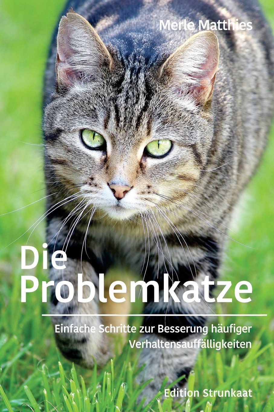 Die Problemkatze: Einfache Schritte zur Besserung häufiger Verhaltensauffälligkeiten Pets
