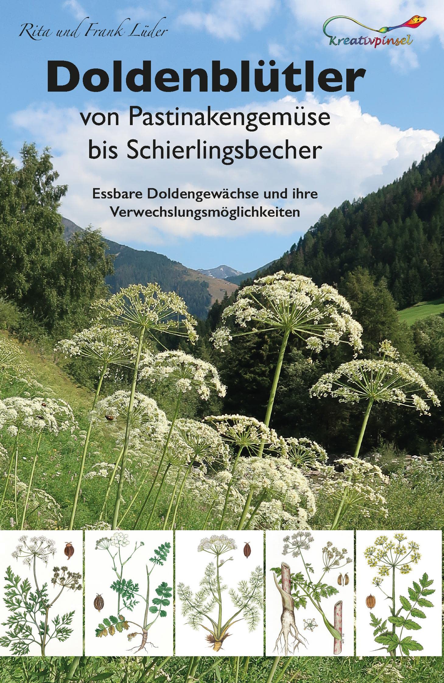 Doldenblütler von Pastinakengemüse bis Schierlingsbecher: Essbare Doldengewächse und ihre Verwechslungsmöglichkeiten Mathematics