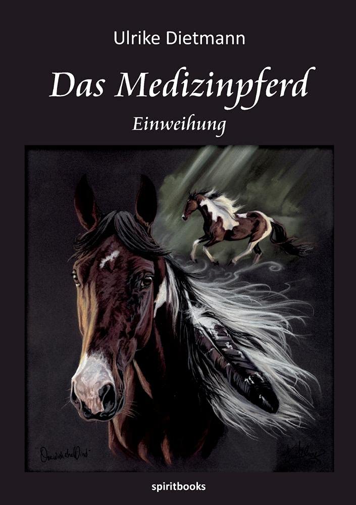 Das Medizinpferd Contemporary literature Books