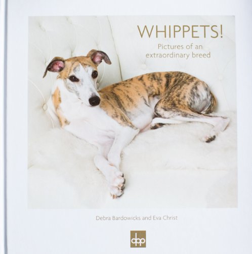Whippets! Pictures of an extraordinary breed Books