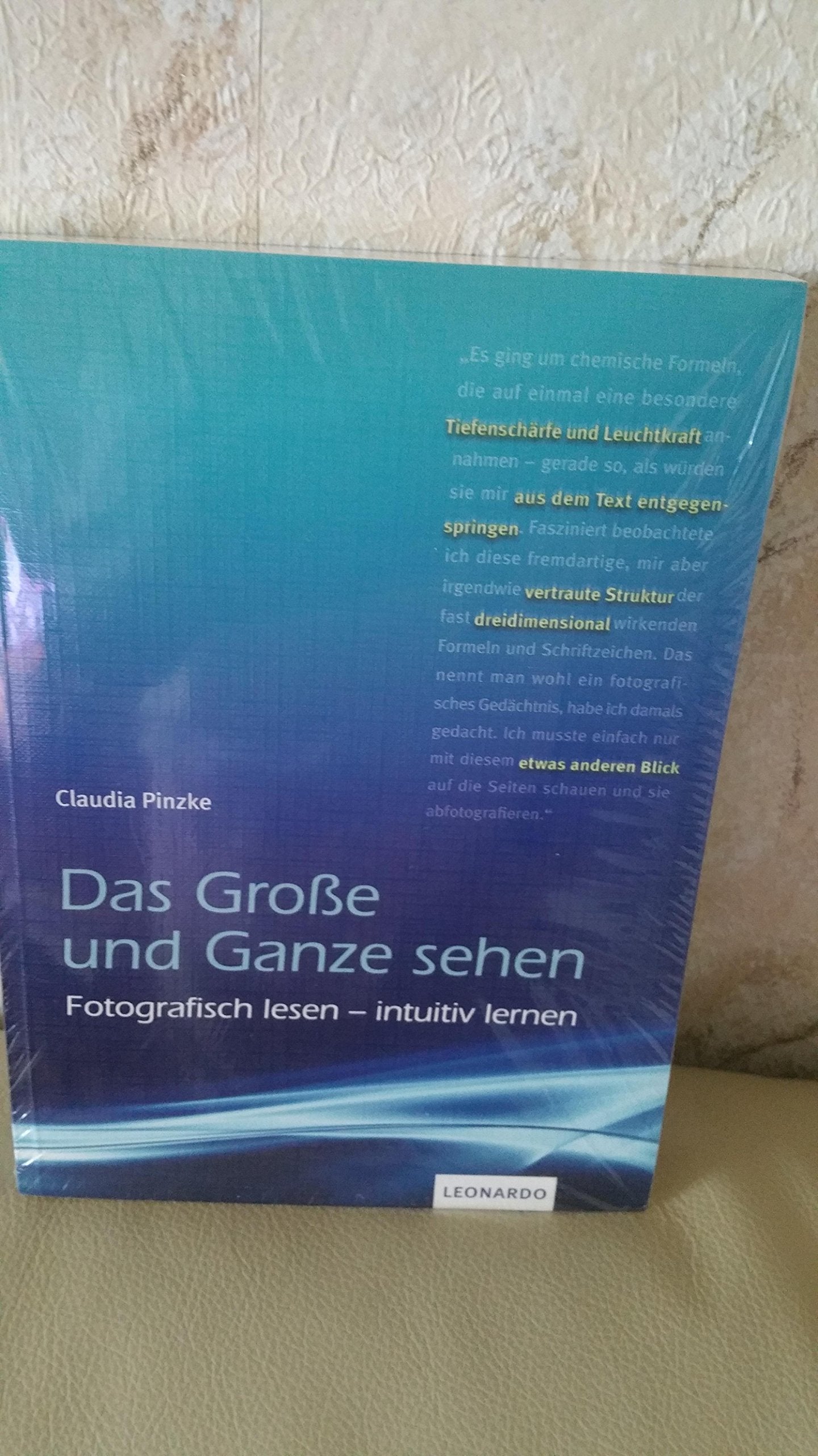 Das Große und Ganze sehen Politics & History