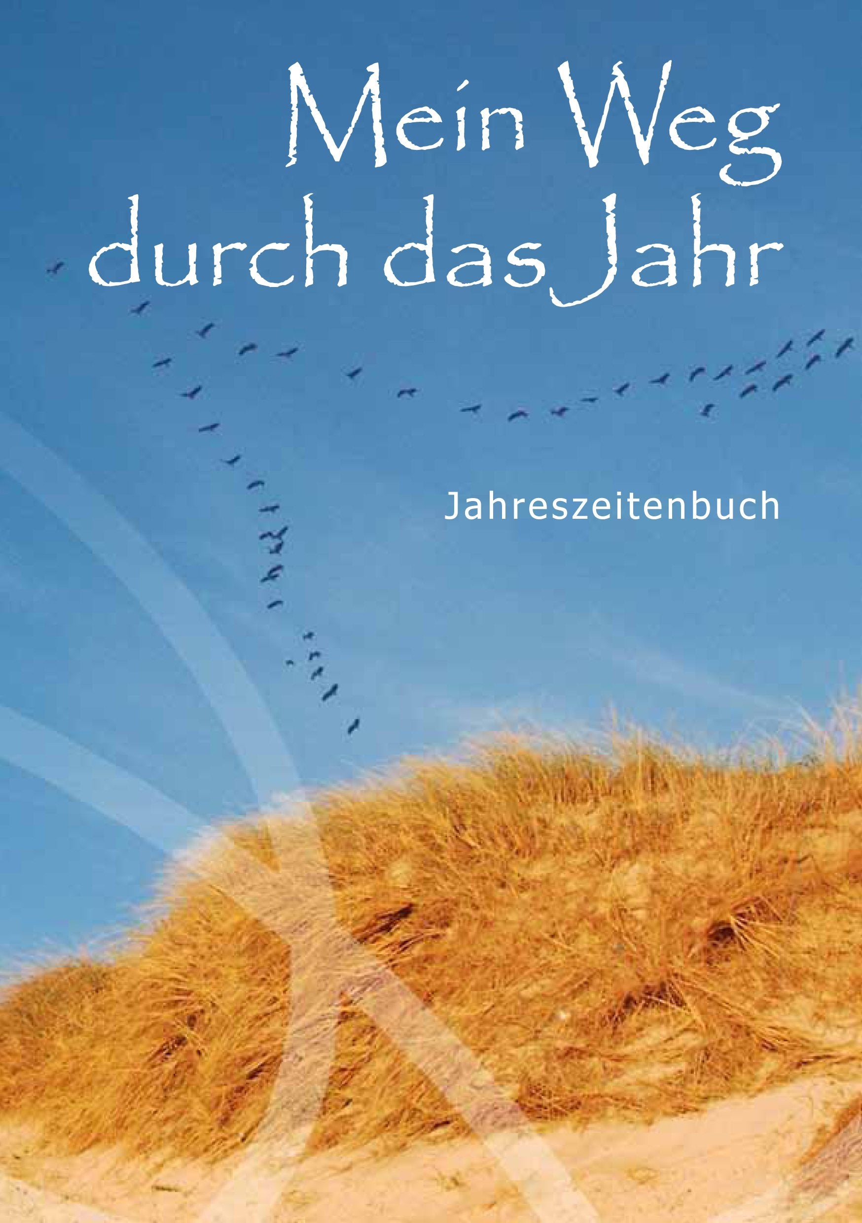 Mein Weg durch das Jahr book