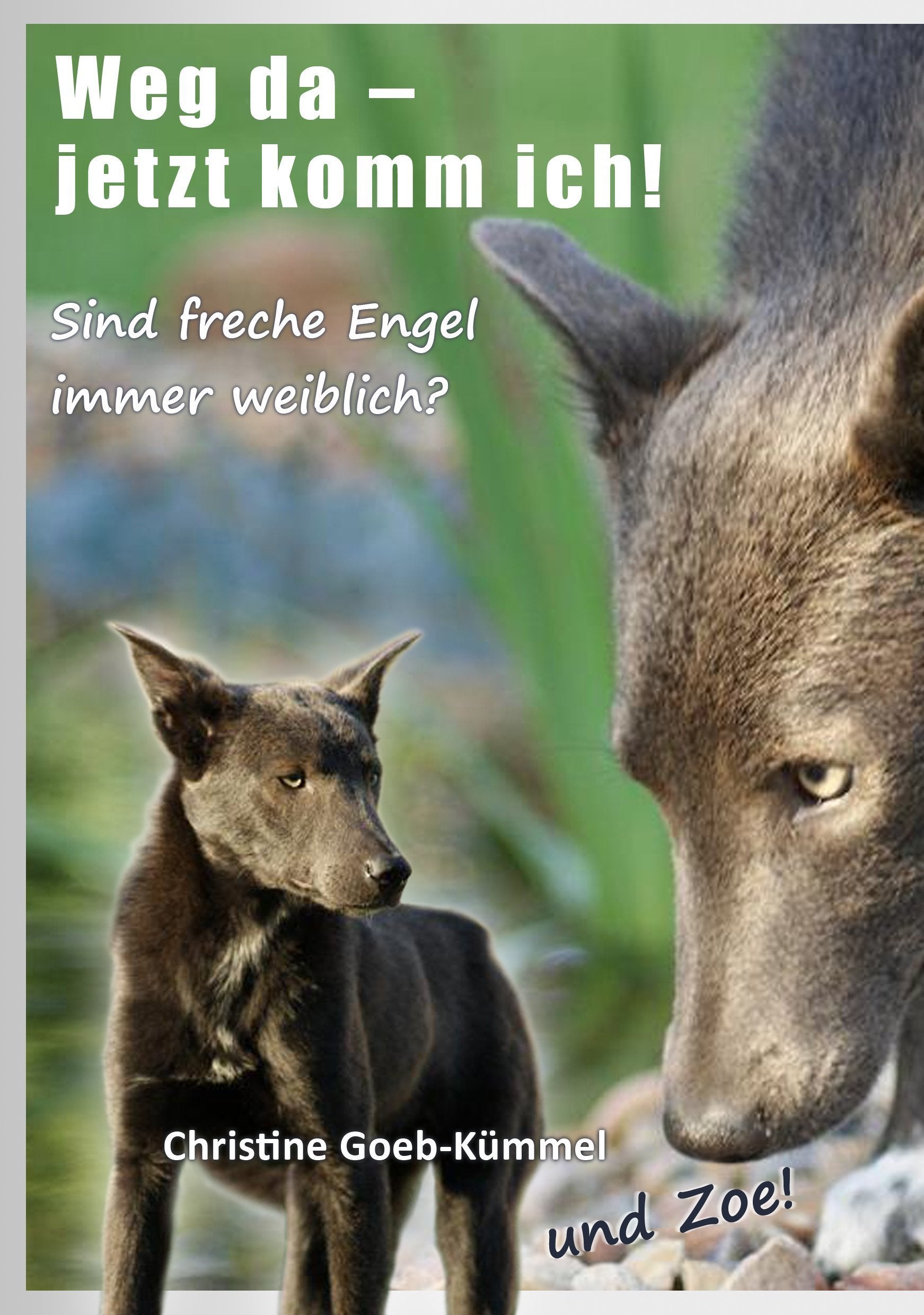 Weg da, jetzt komm ich! Sind freche Engel immer weiblich? Contemporary literature
