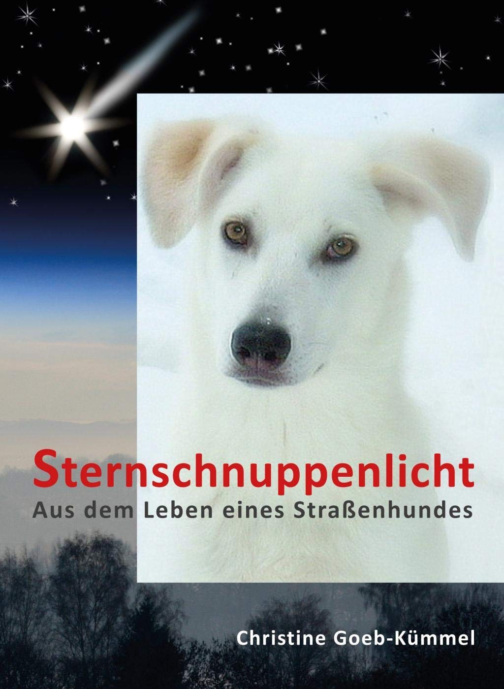 Sternschnuppenlicht: Aus dem Leben eines Straßenhundes Contemporary literature