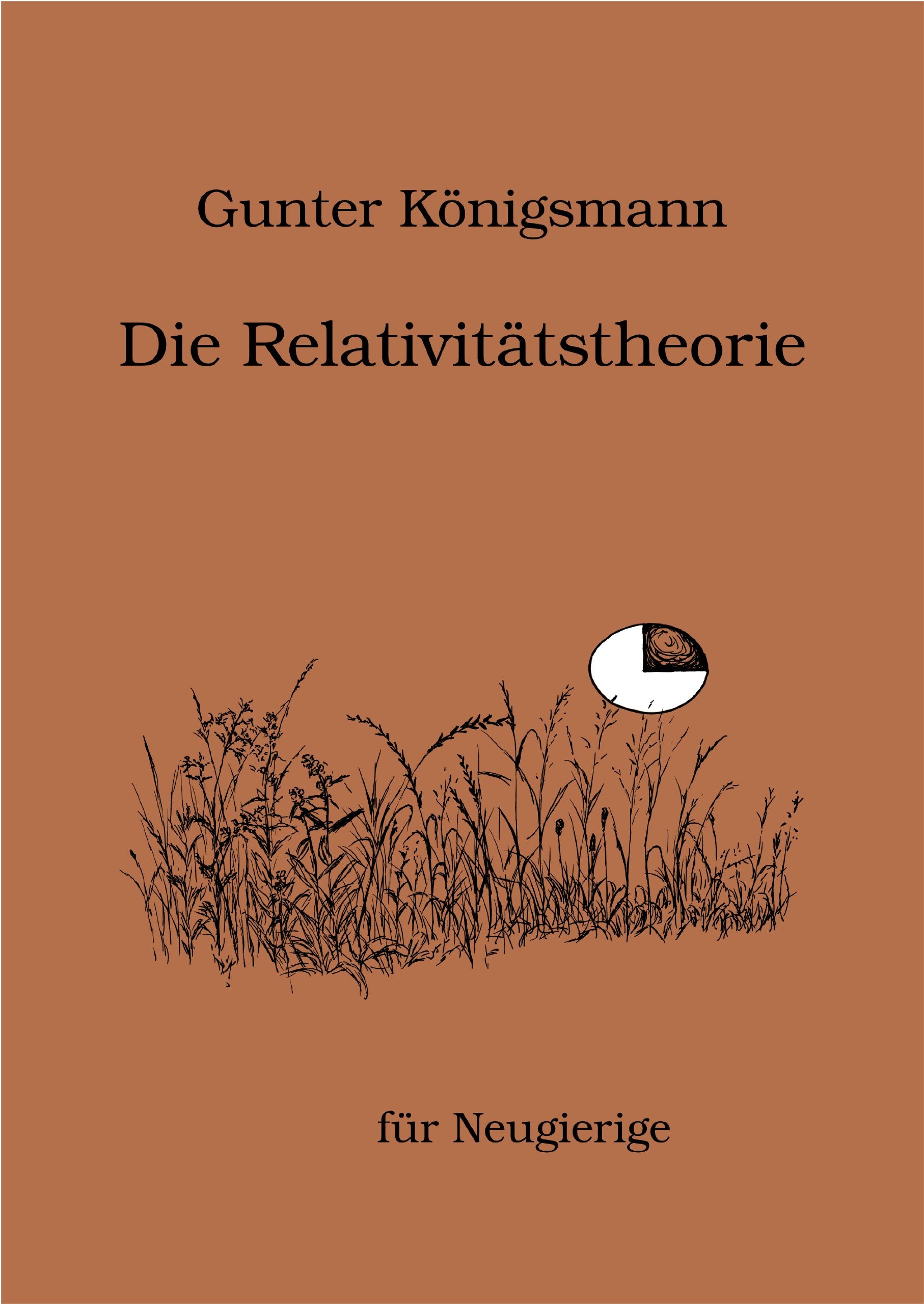 Die Relativitätstheorie: Für Neugierige (Art-based Science) Business & Technology