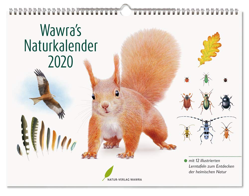 Wawra's Naturkalender 2020: mit 12 illustrierten Lerntafeln zum Entdecken der heimischen Natur Leisure, Home & Garden