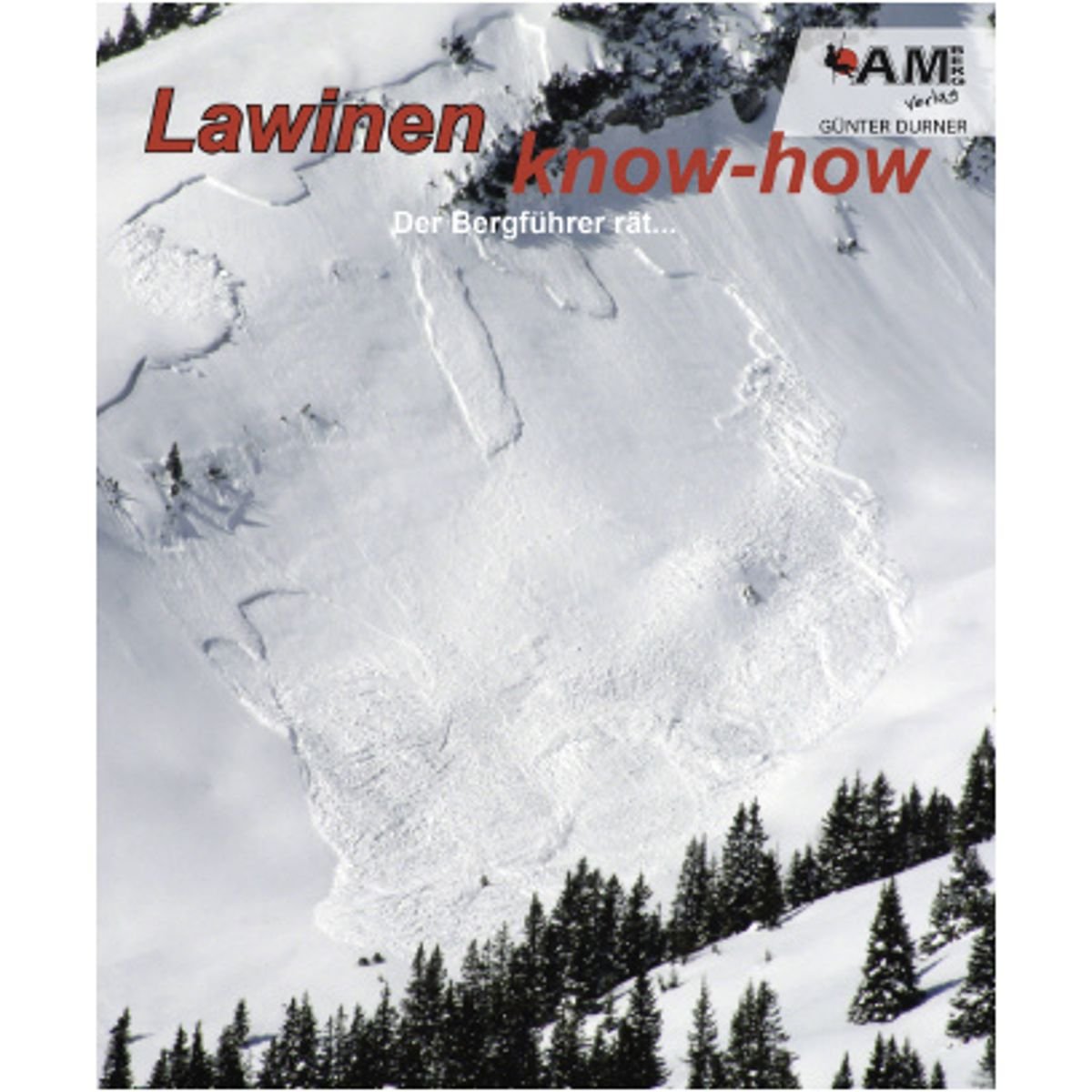 Lawinen know-how, Der Bergführer rät... Business, Finance & Career